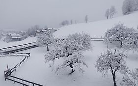Das kleine Landidyll am Thiersee