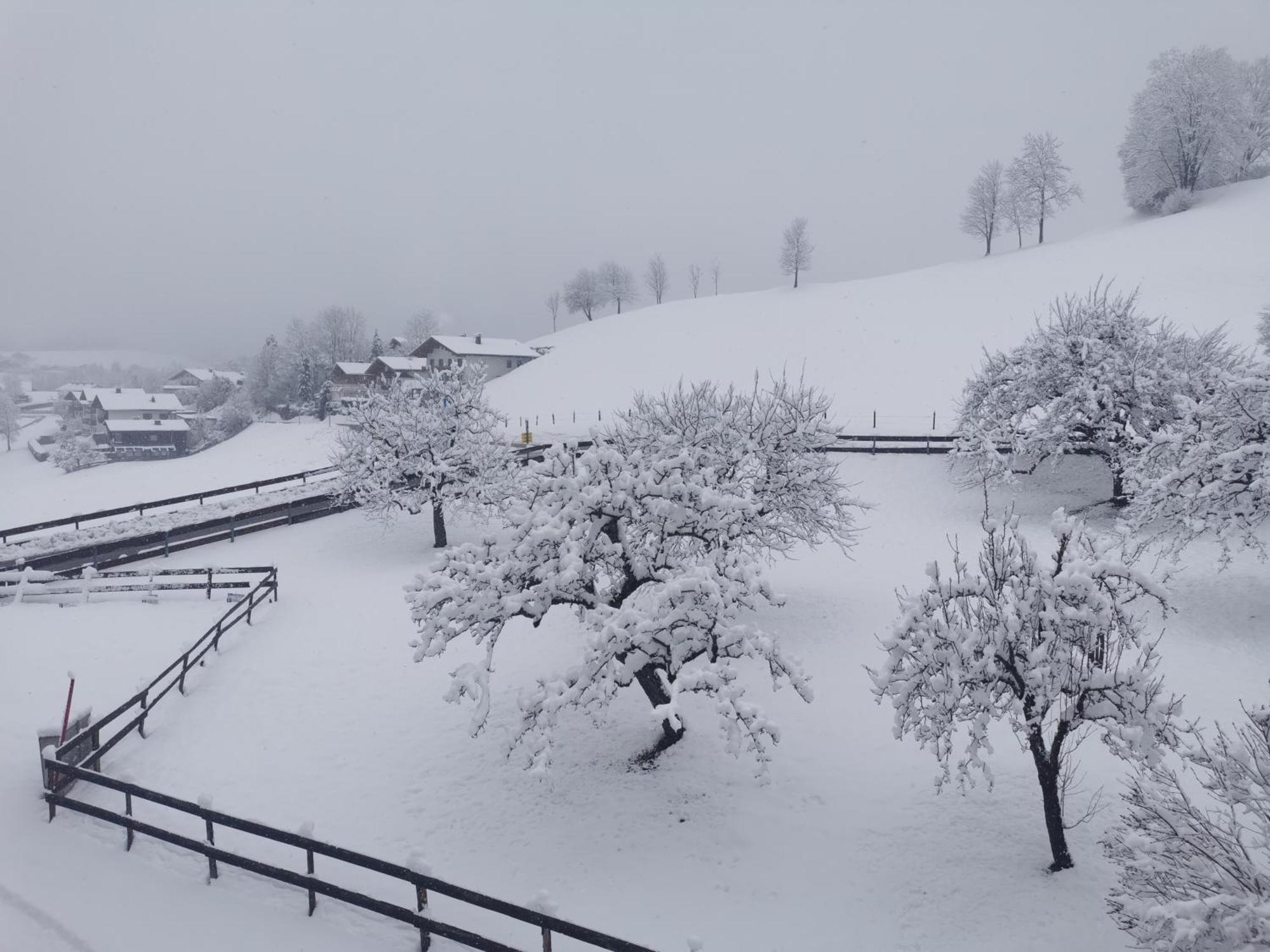 Das kleine Landidyll am Thiersee Exterior foto